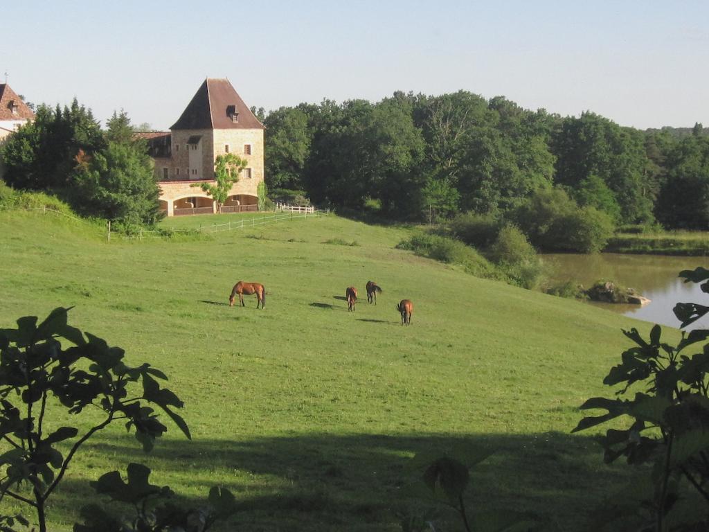 Hotel Manoir Du Grand Vignoble Saint-Julien-de-Crempse Esterno foto